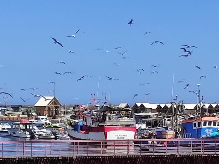 Au Coeur D'Olhao Leilighet Eksteriør bilde